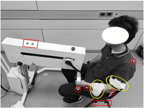 Preliminary Validation of a Device for the Upper and Lower Limb Robotic Rehabilitation